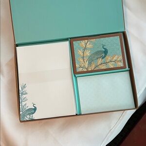 Peacock Design Decorative Box inside Writing set.